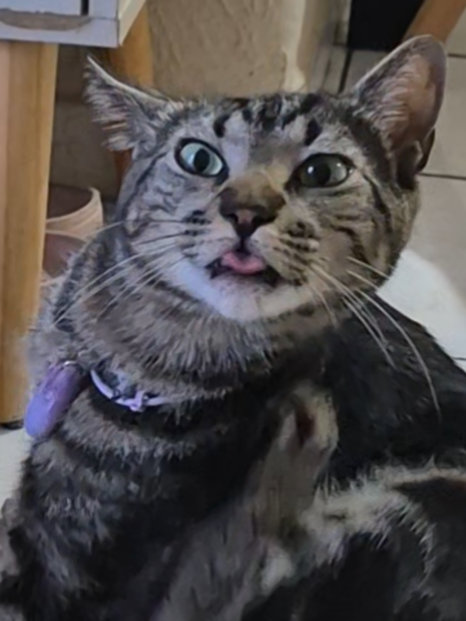 @Mushu