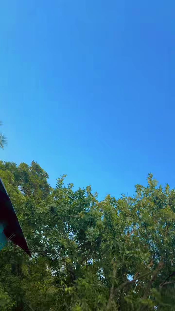 @nipabhowmick661