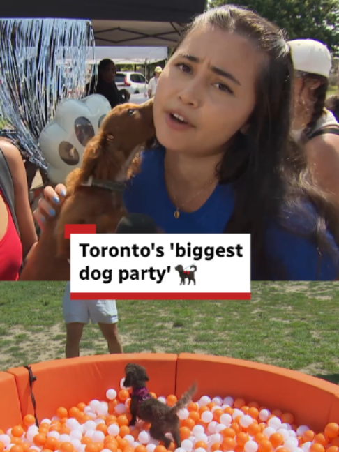 @CBC Toronto