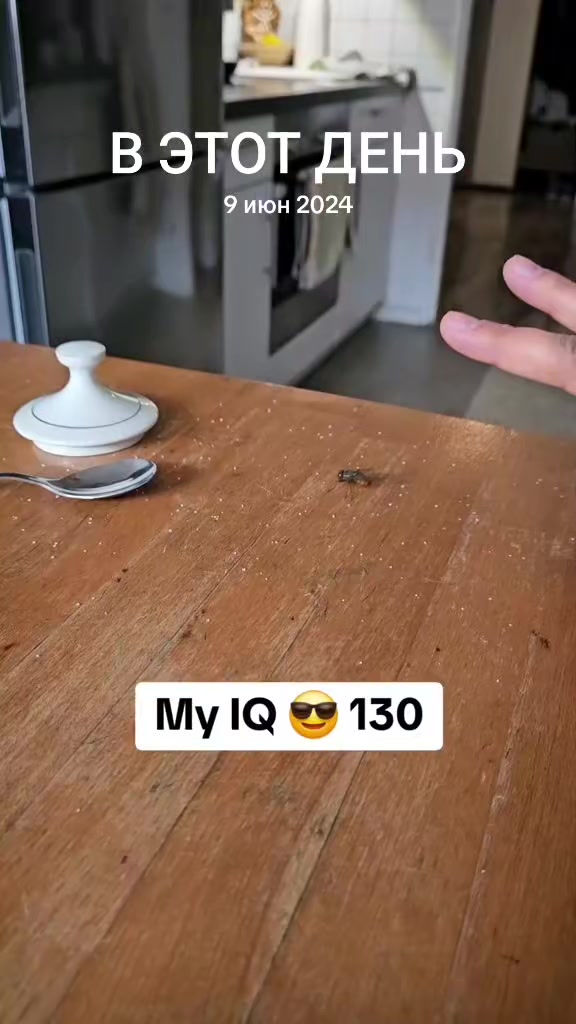 @собака кулибяка