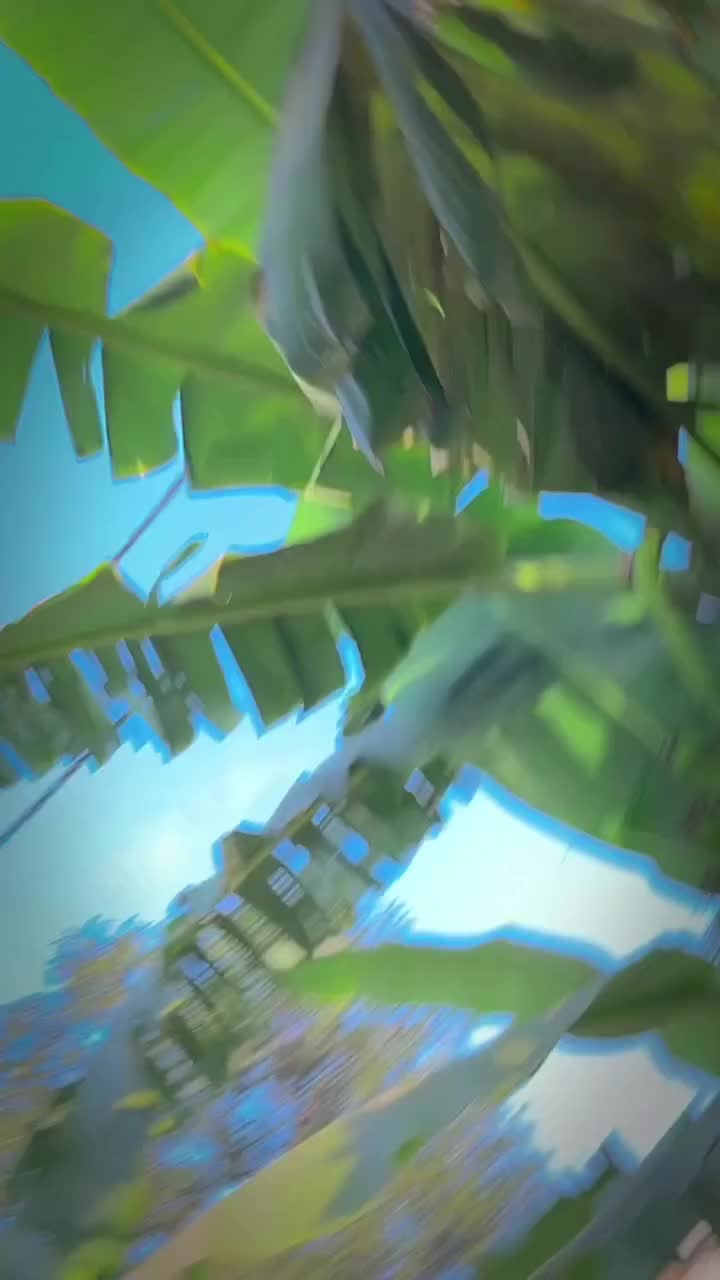 @S H A V A N I