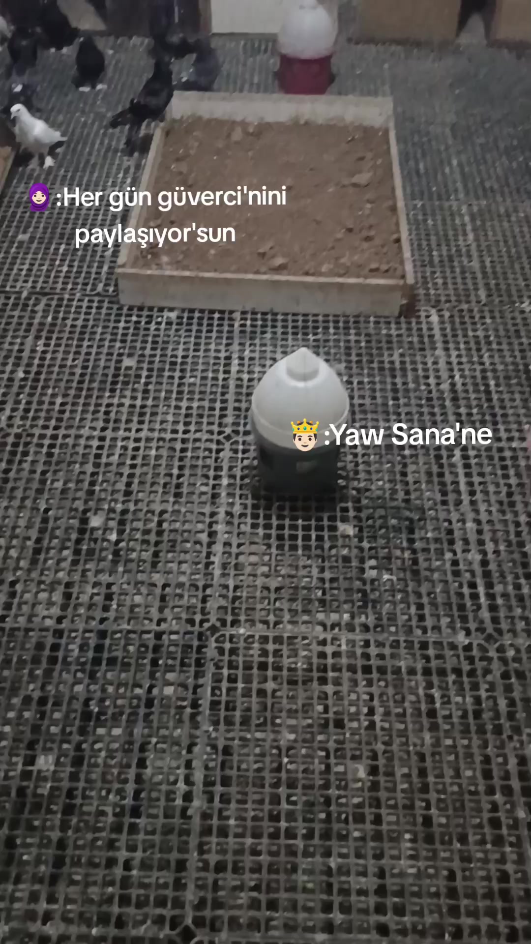 @HEVAL_72🗽
