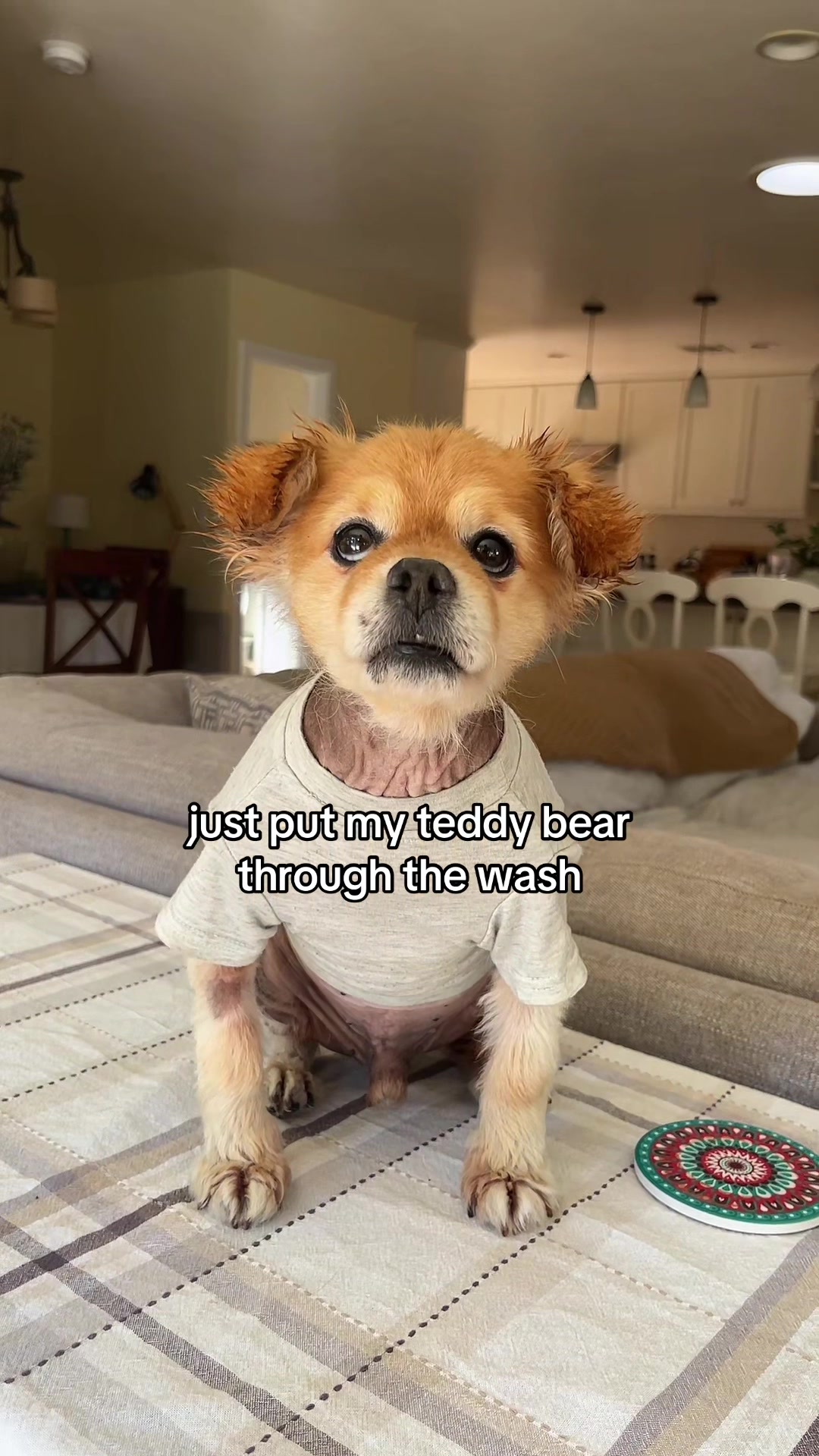 @kingpep