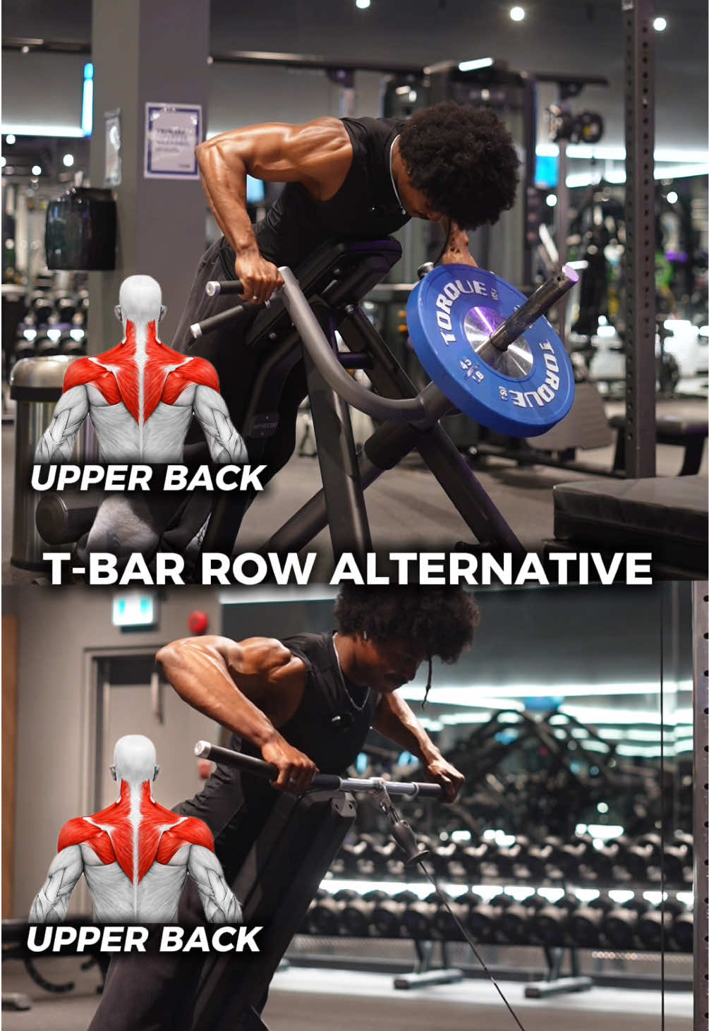 @Gymbro001 | Fix Your Workouts