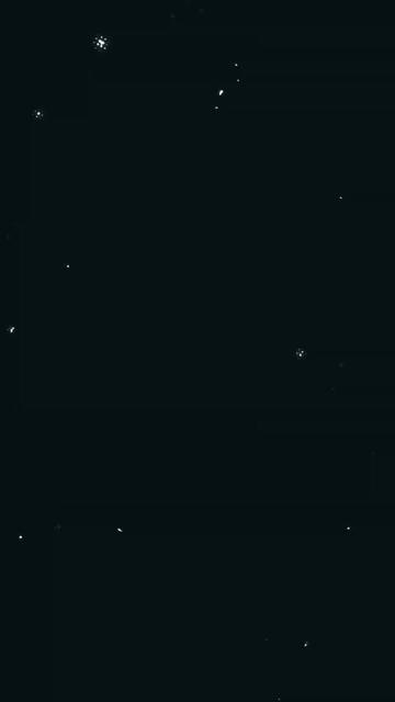 @الوحيده في كل شي