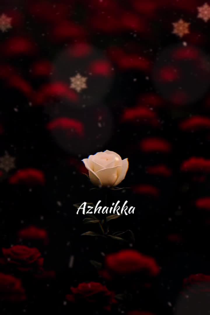 @AisyaRahman🌹