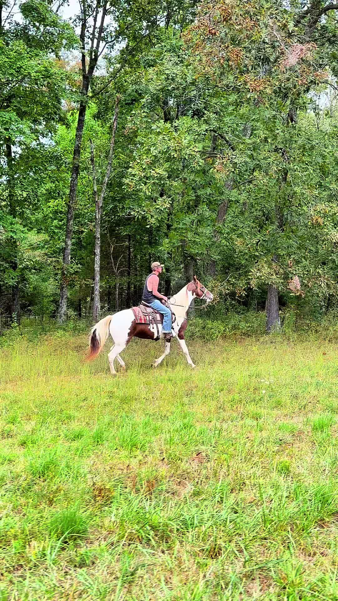 @Lucky D Ranch 🍀