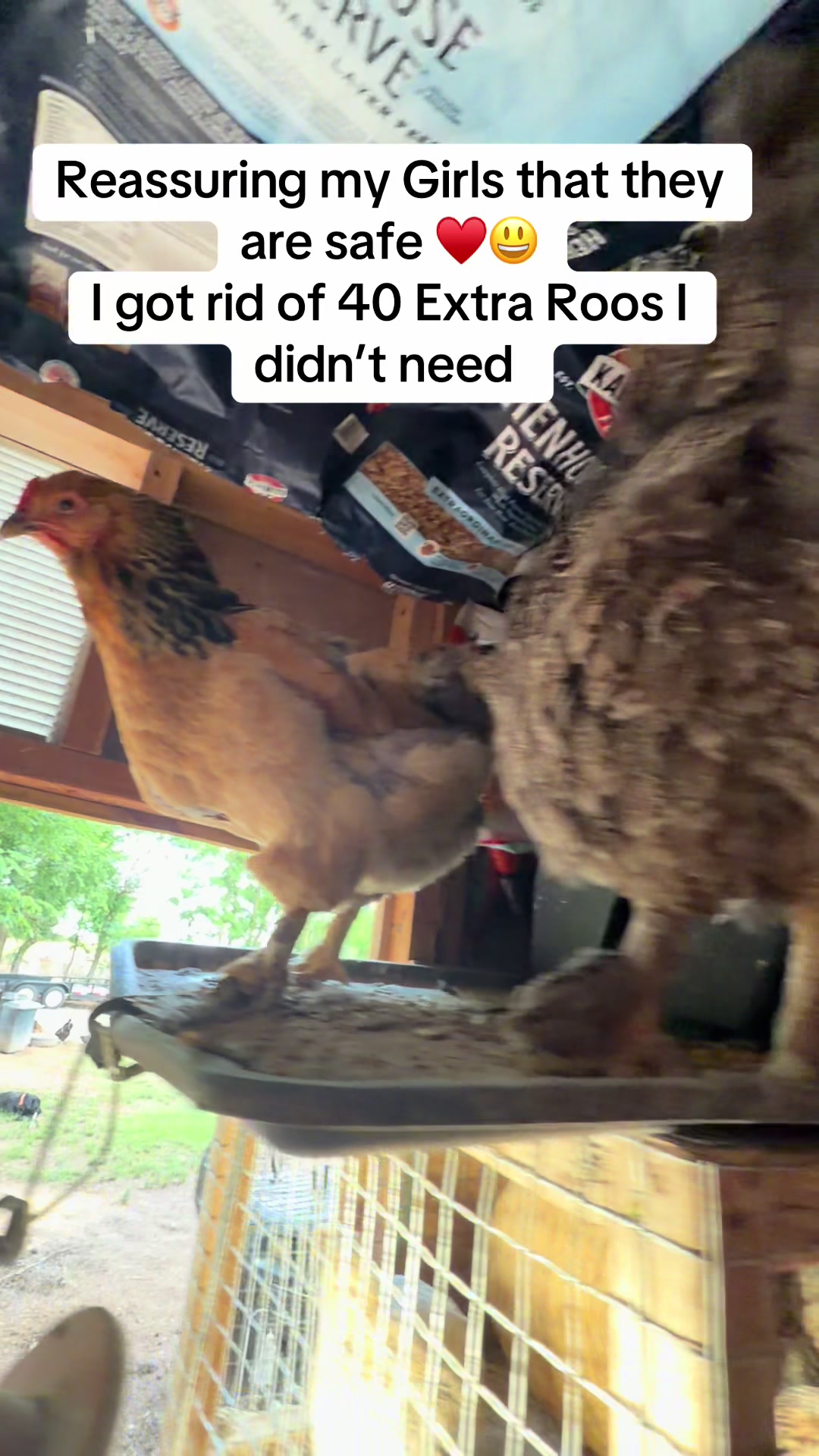 @NonniesFunnyFarm