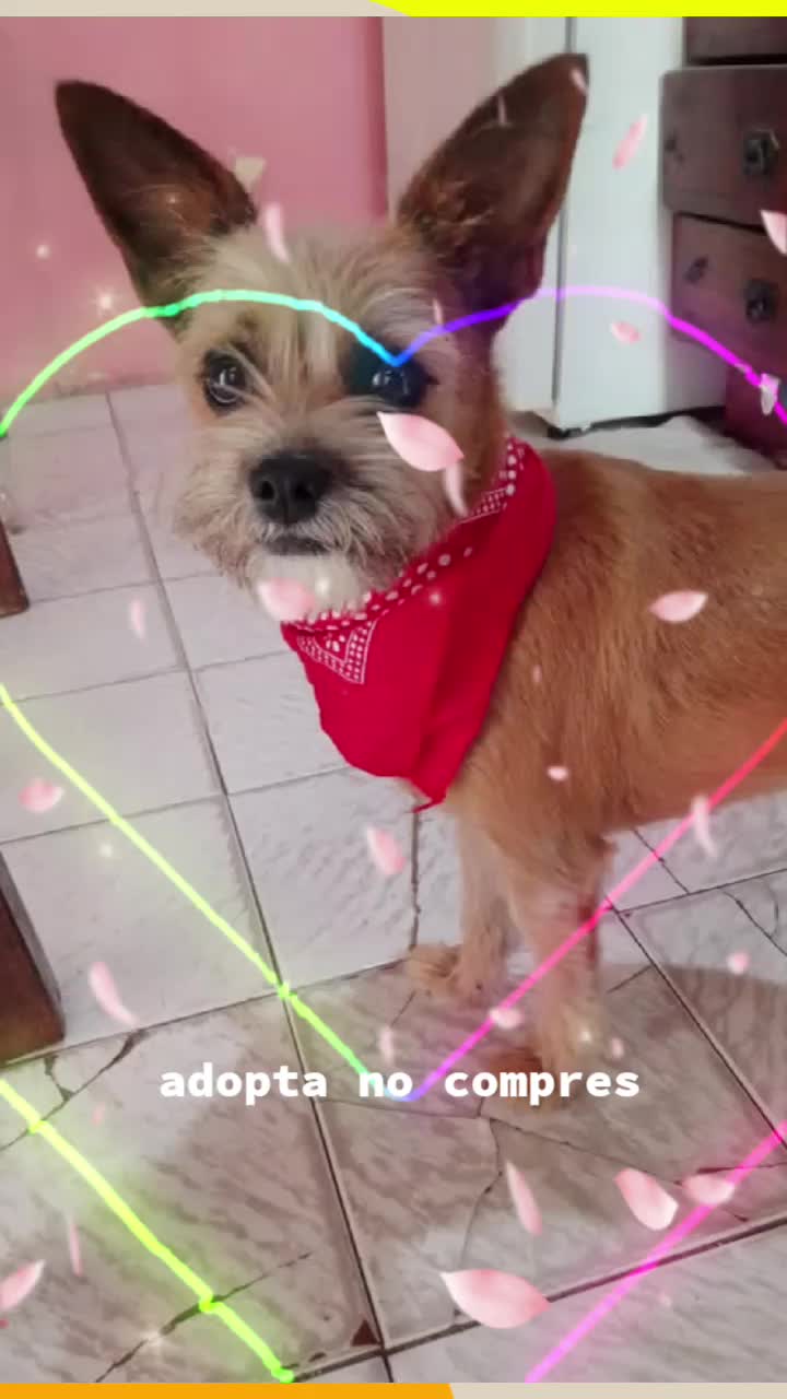 @Yaqui