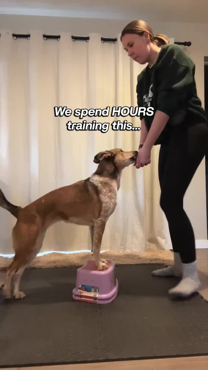 @Marissa | Kota & Aspen