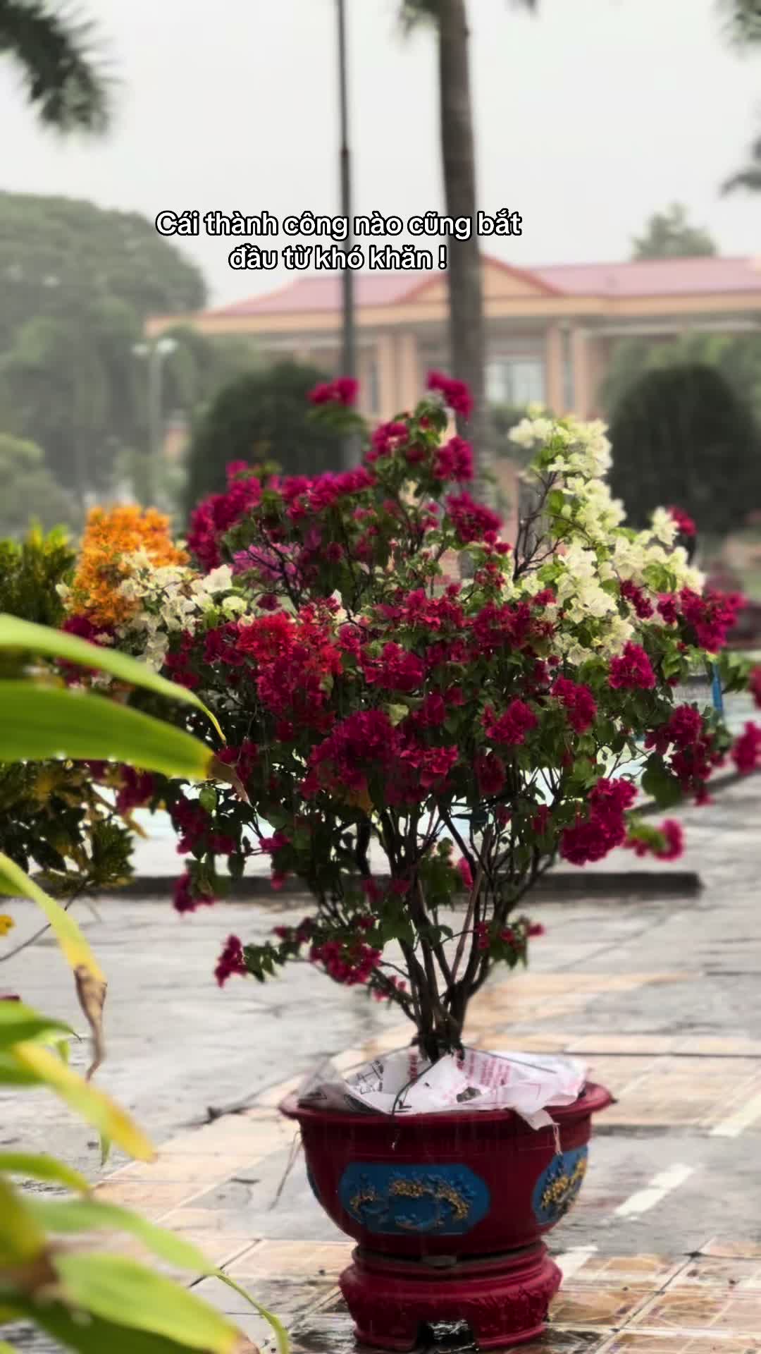 @HẢI