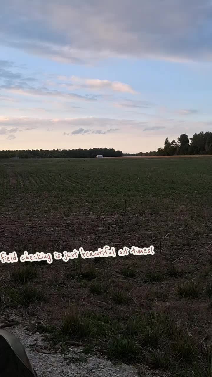 @Taylor | Sah{farm}m