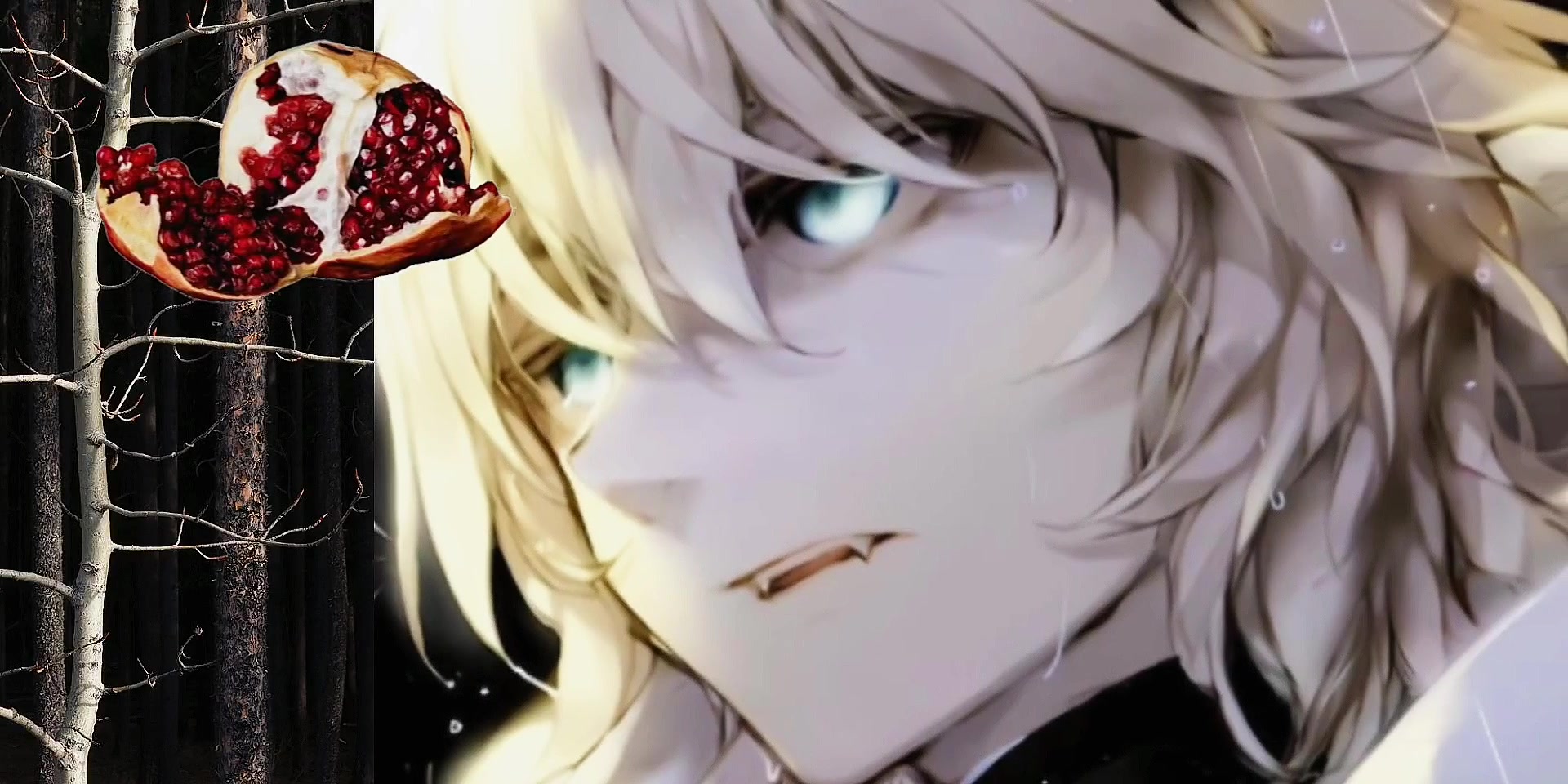 @diesemn⋆˚࿔