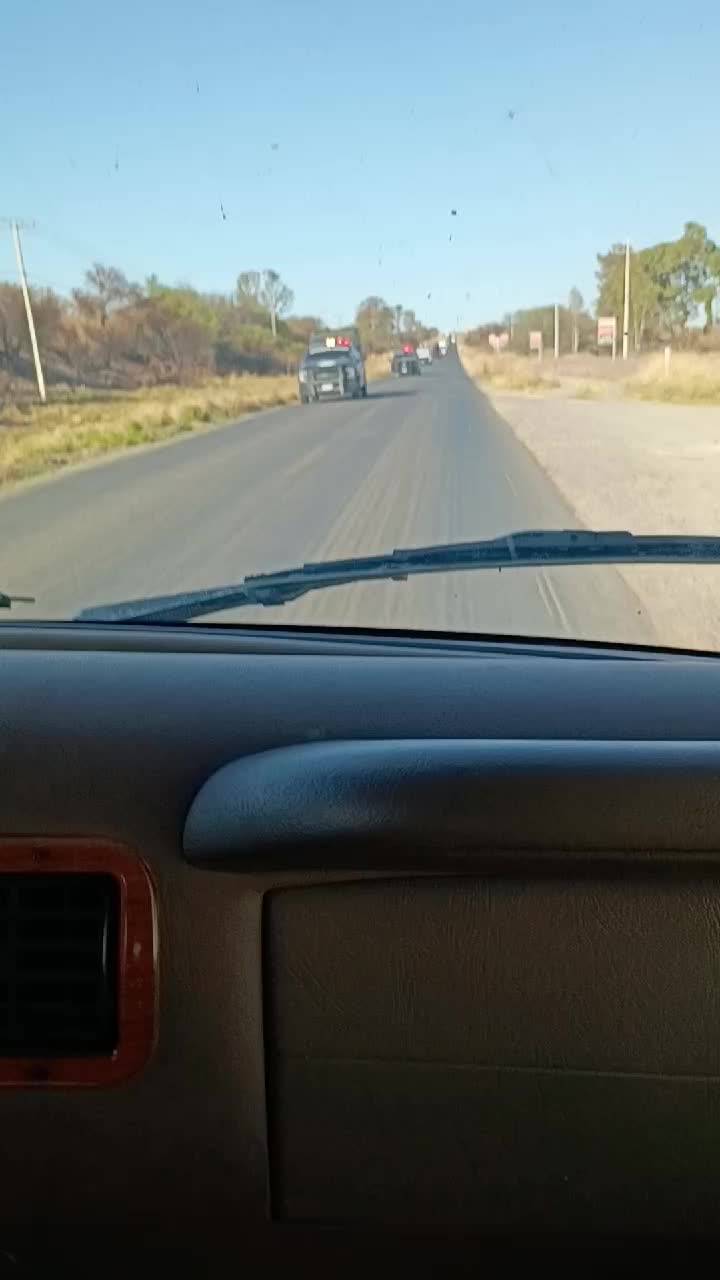 @Vazquez conejo