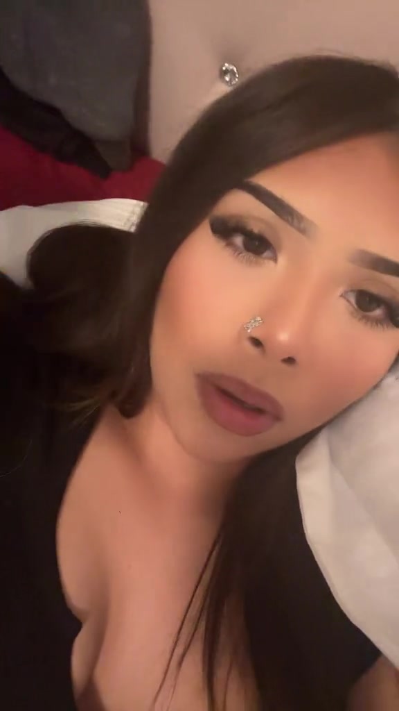@ms.purrfecttt