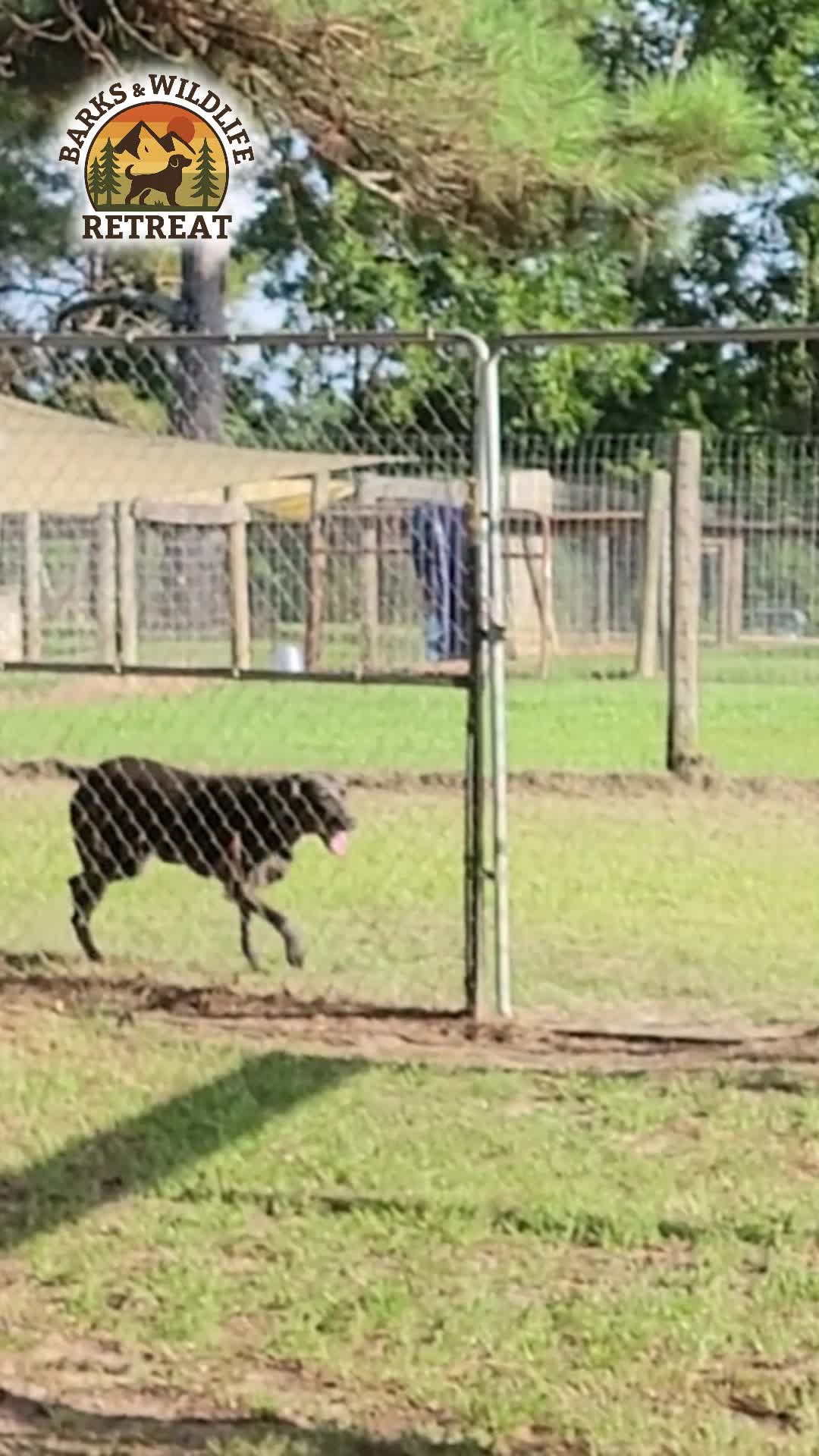 @Barks & Wildlife Longville LA