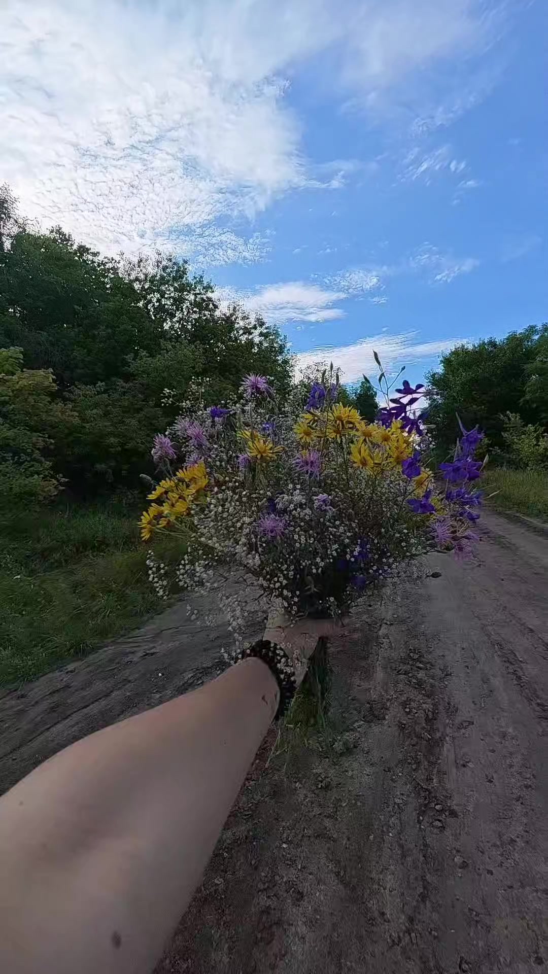 @Євгенія Швед
