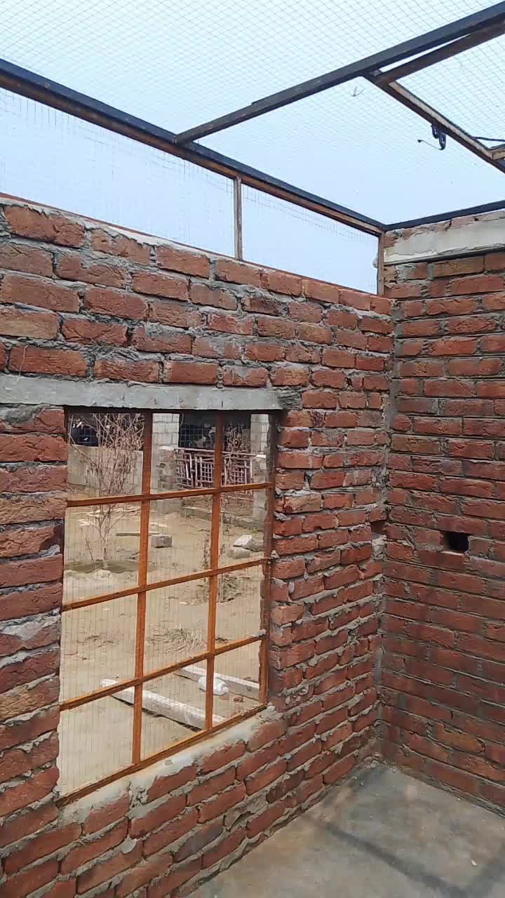 @Pigeons Cages maker 💞