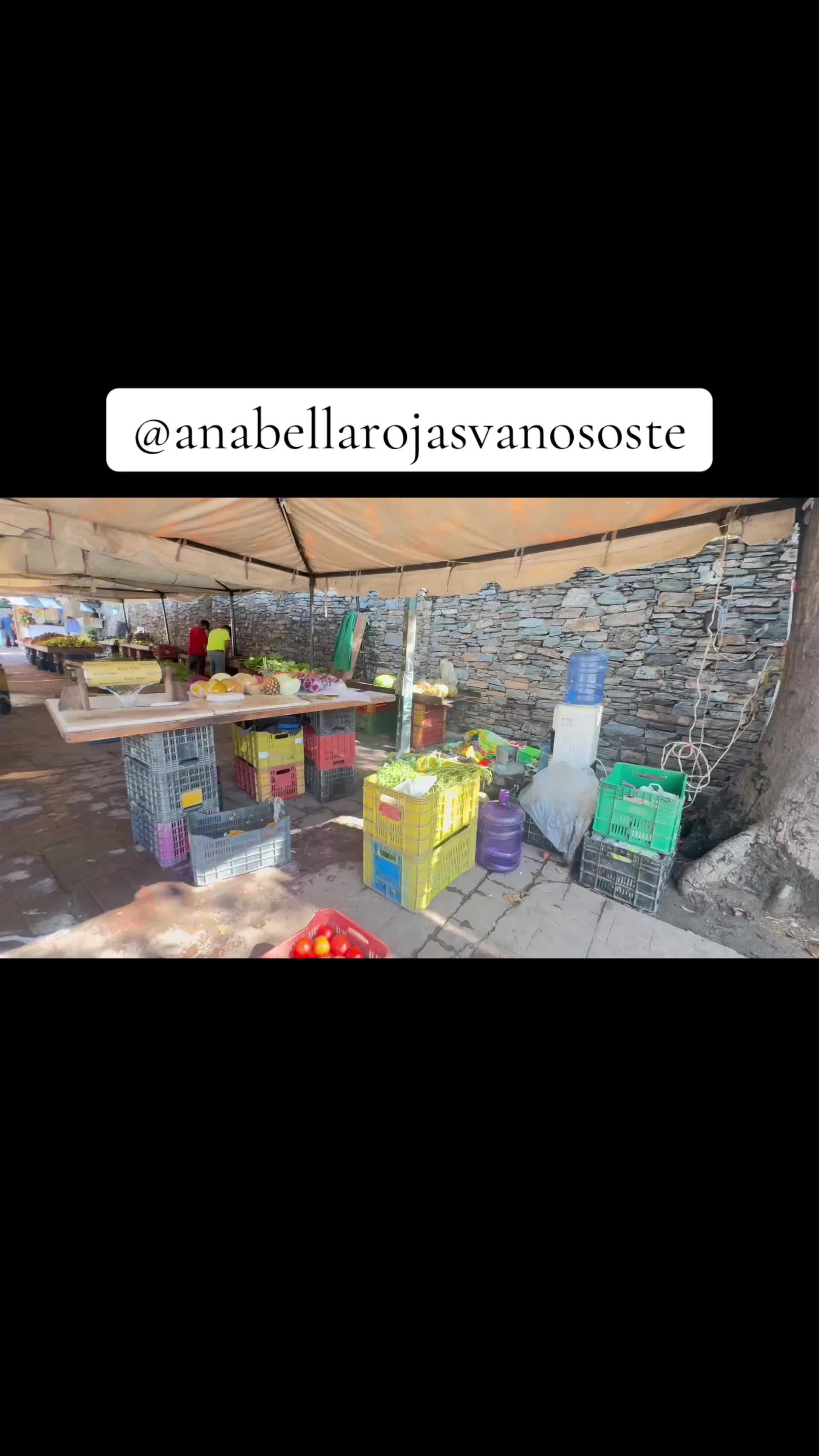 @Anabella Rojas Vanososte