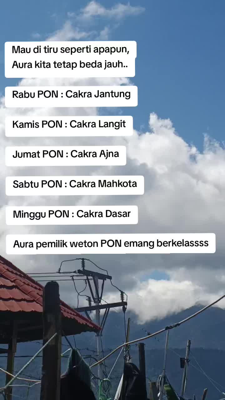 @Ardi project
