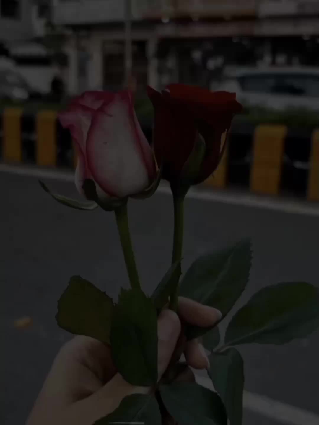 @𝙴𝚛𝚊^᪲᪲᪲🧚&zwj;♀️