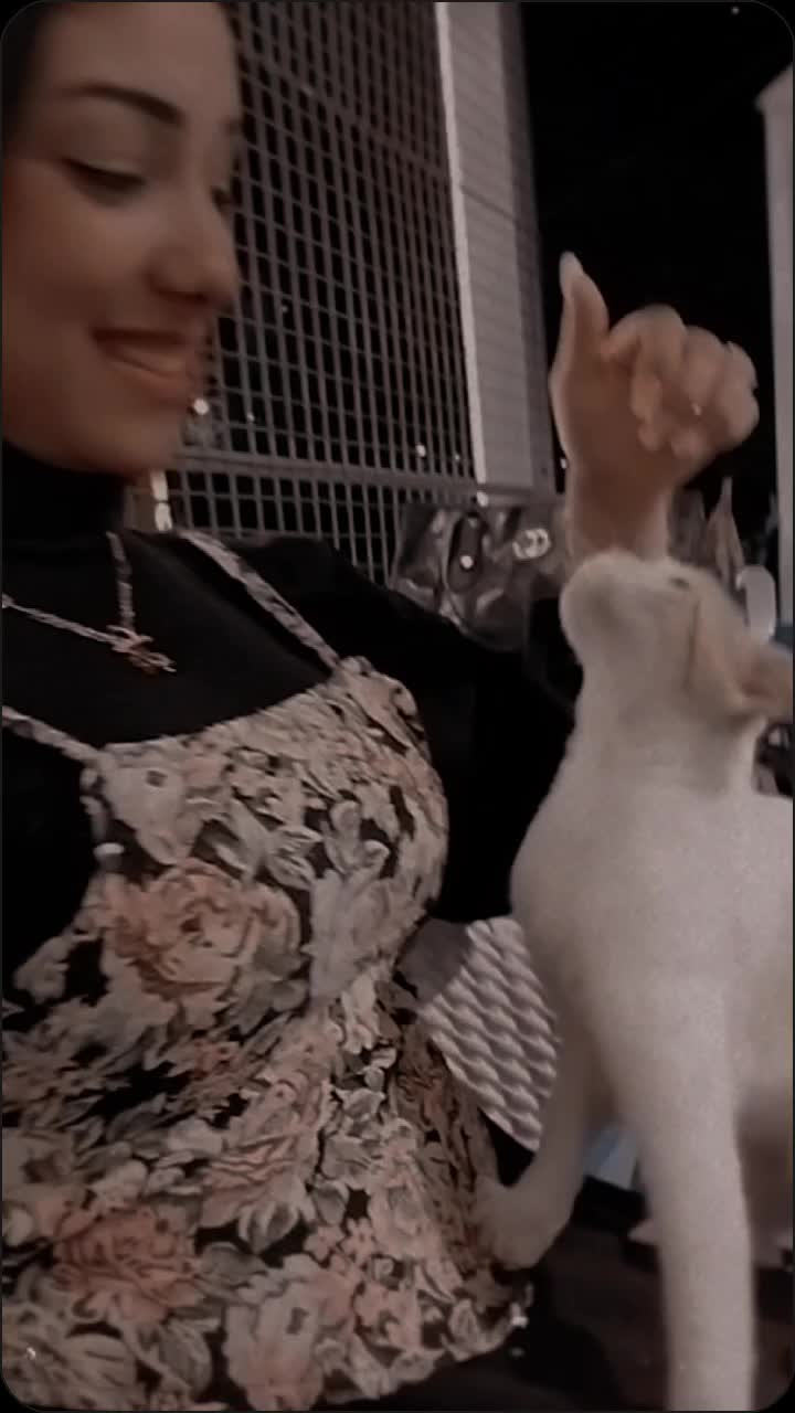 @๐ต๐๐๐๐ ๐๐ ๐