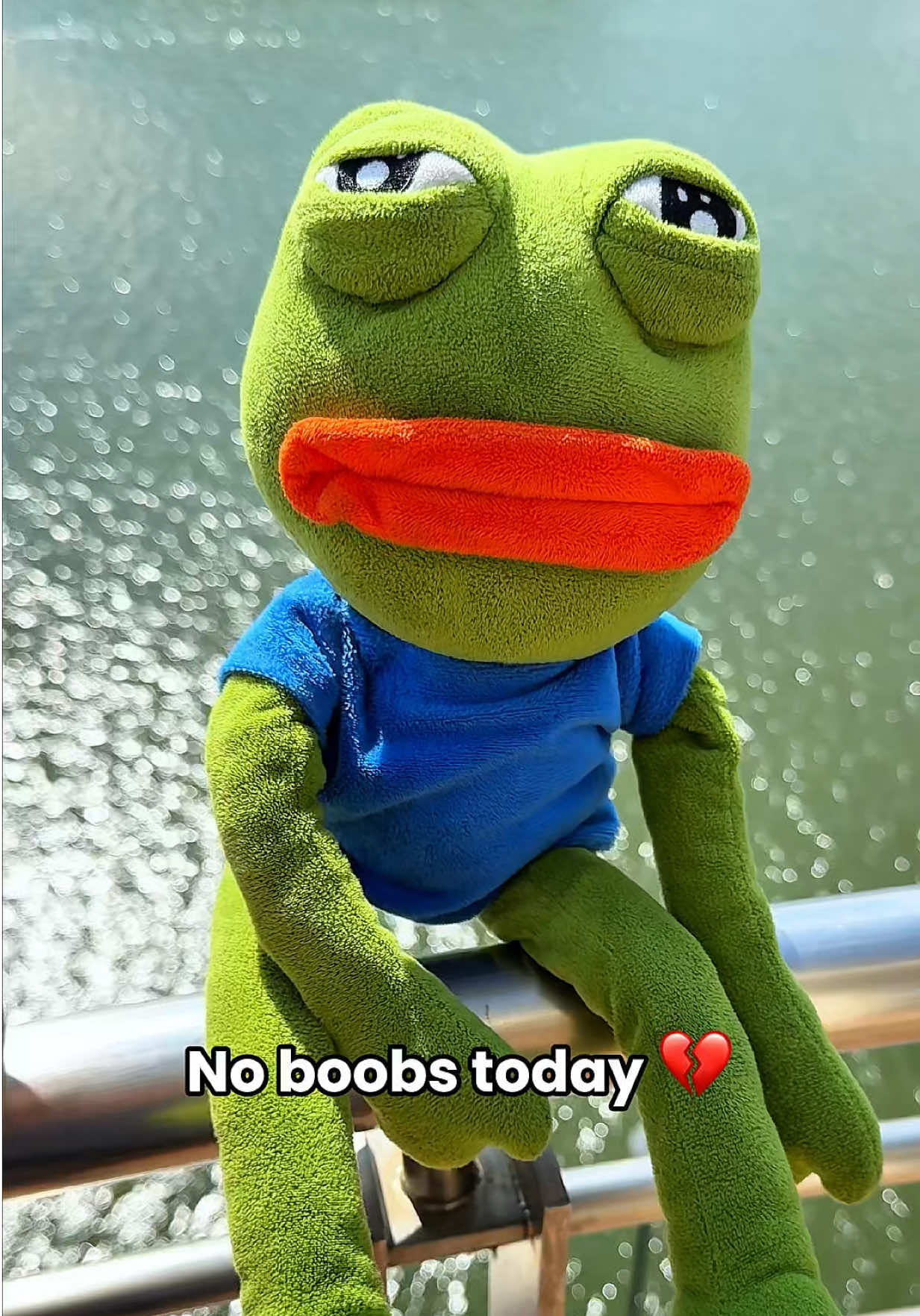 @AdoptAPepe