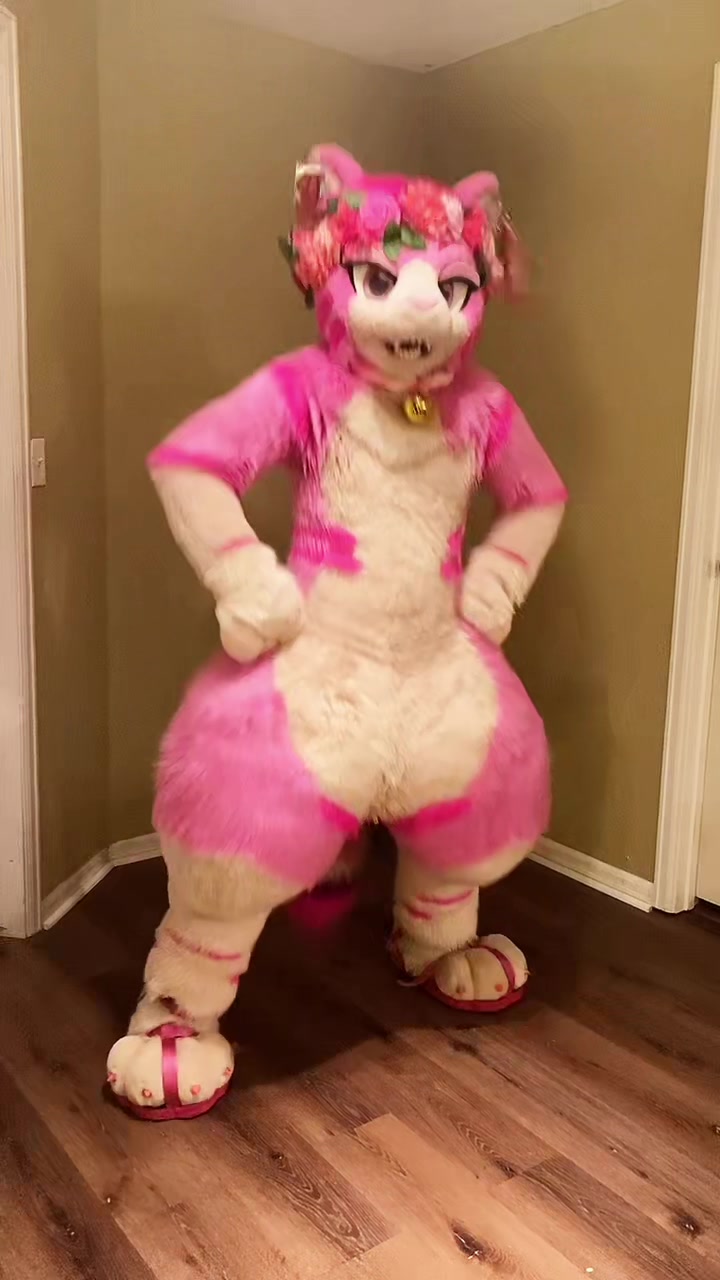 @AGayPinkCat