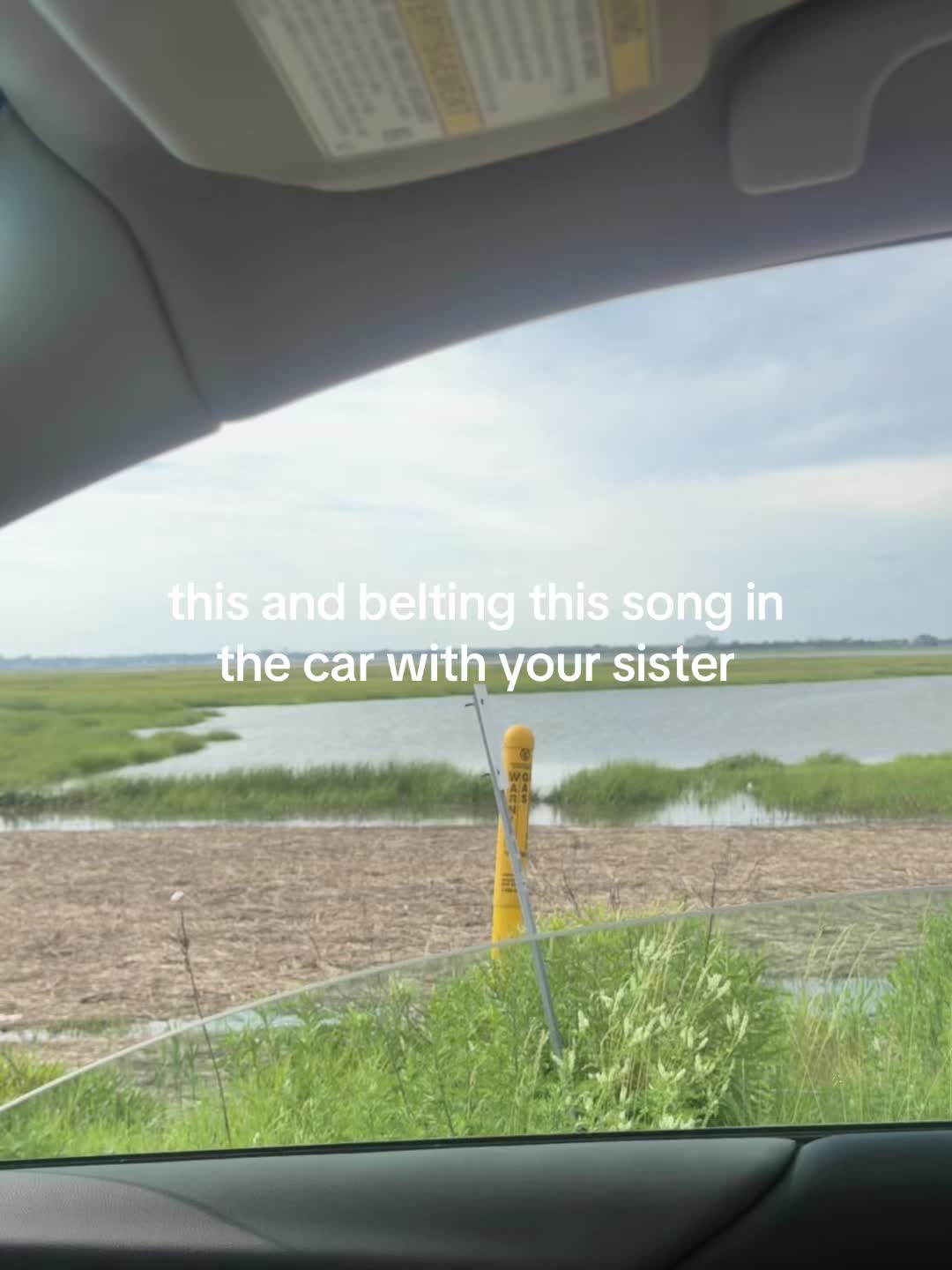@Victoria Lipson