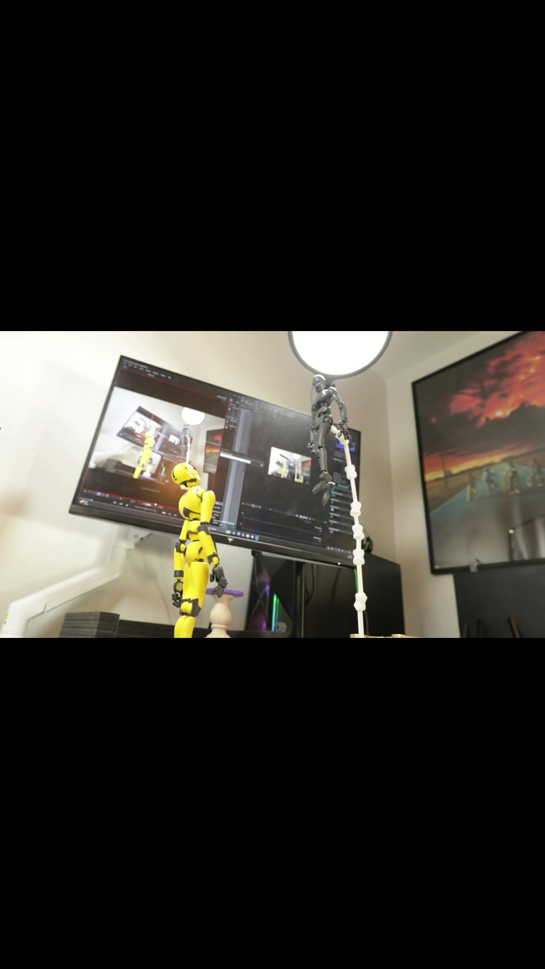 @fiascostopmotion