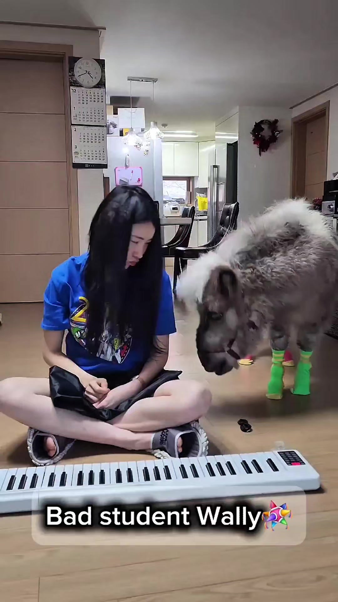 @작은말월리 | 월리플랍🦄