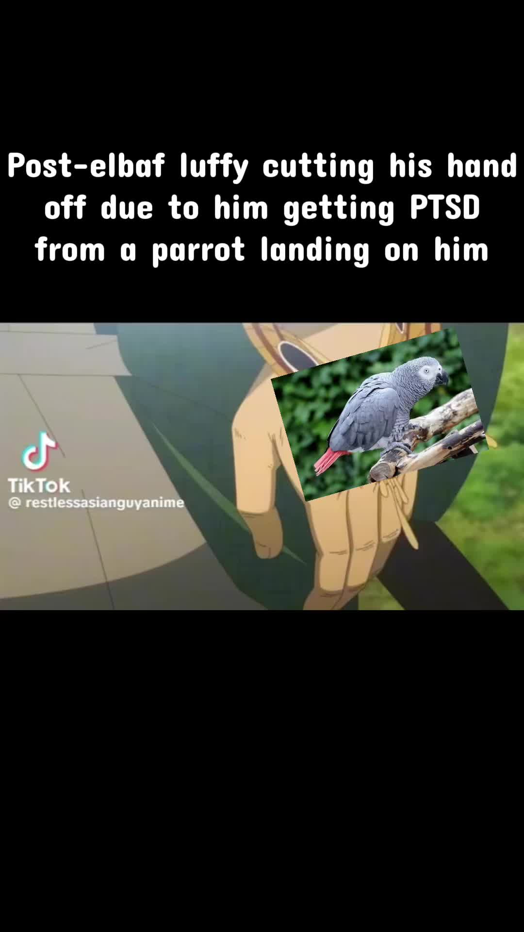 @YBG_joestar ☦️🇪🇷
