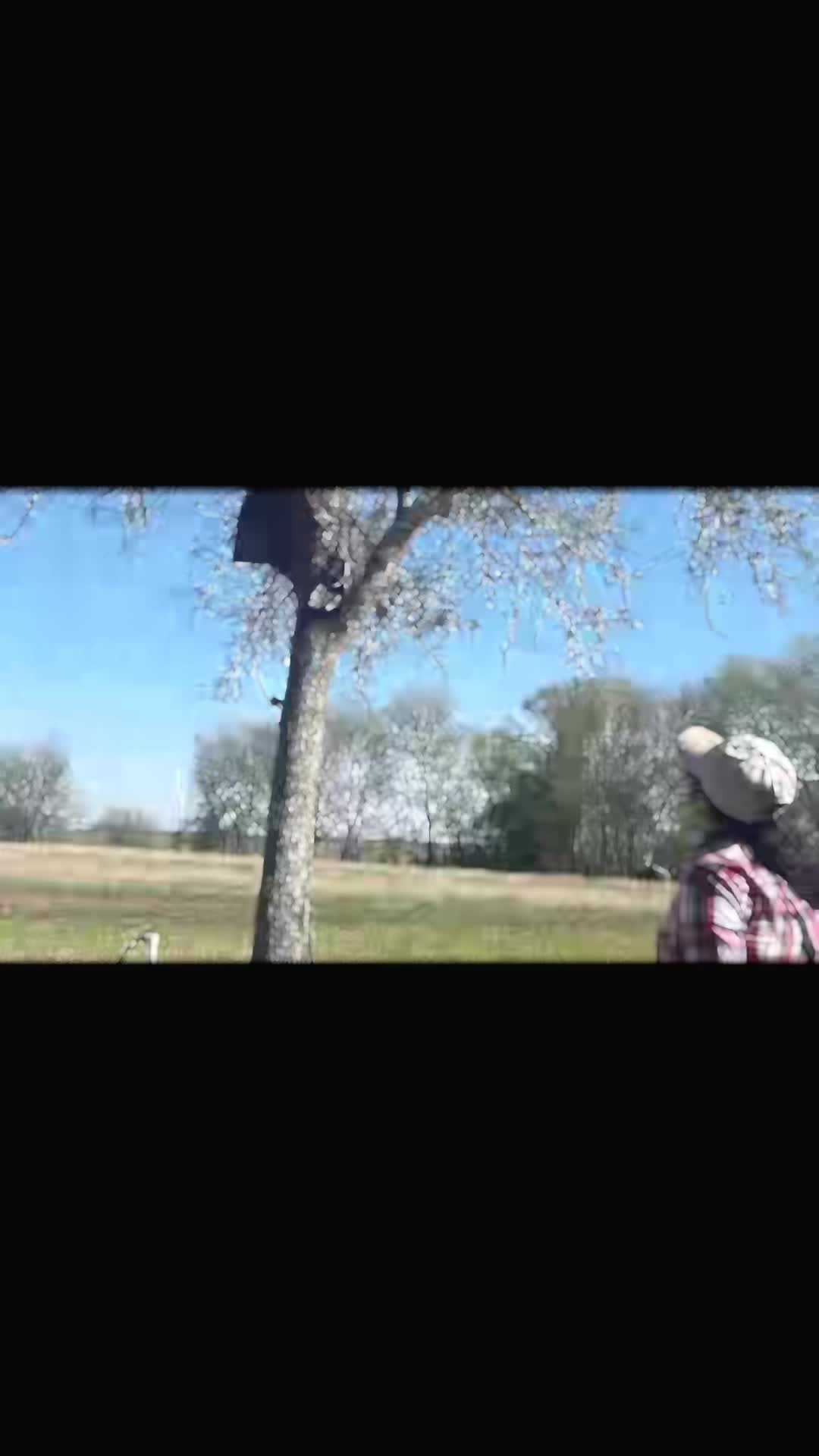 @Breanna channel