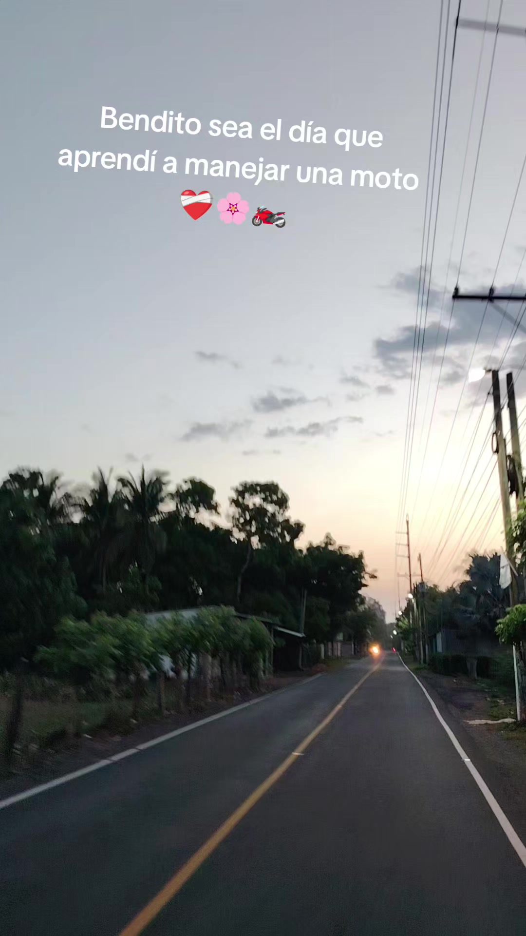 @luisa🌎🍀🪄⏳