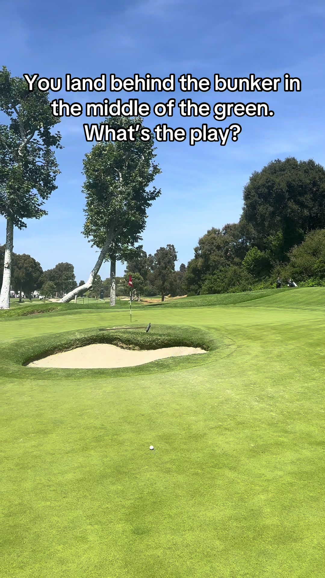 @LPGA