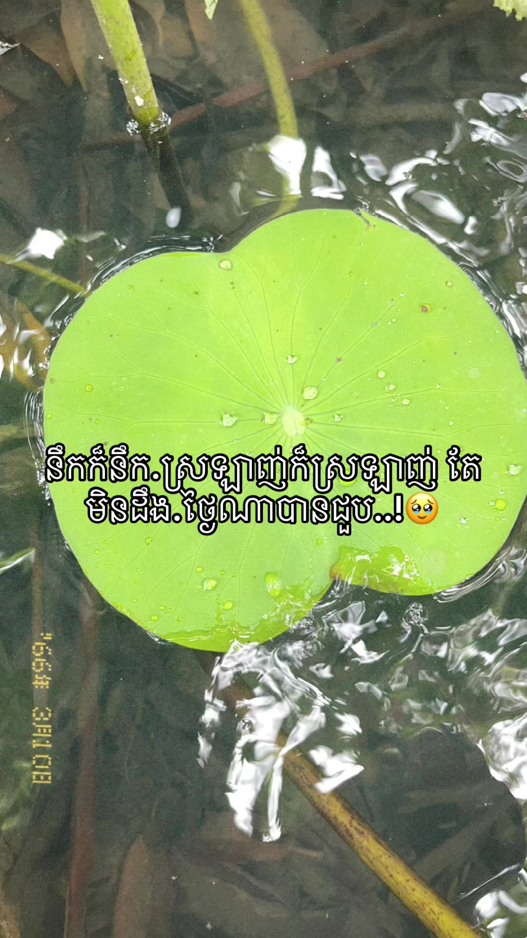 @Yaa_แแแถ.โจ๐ค