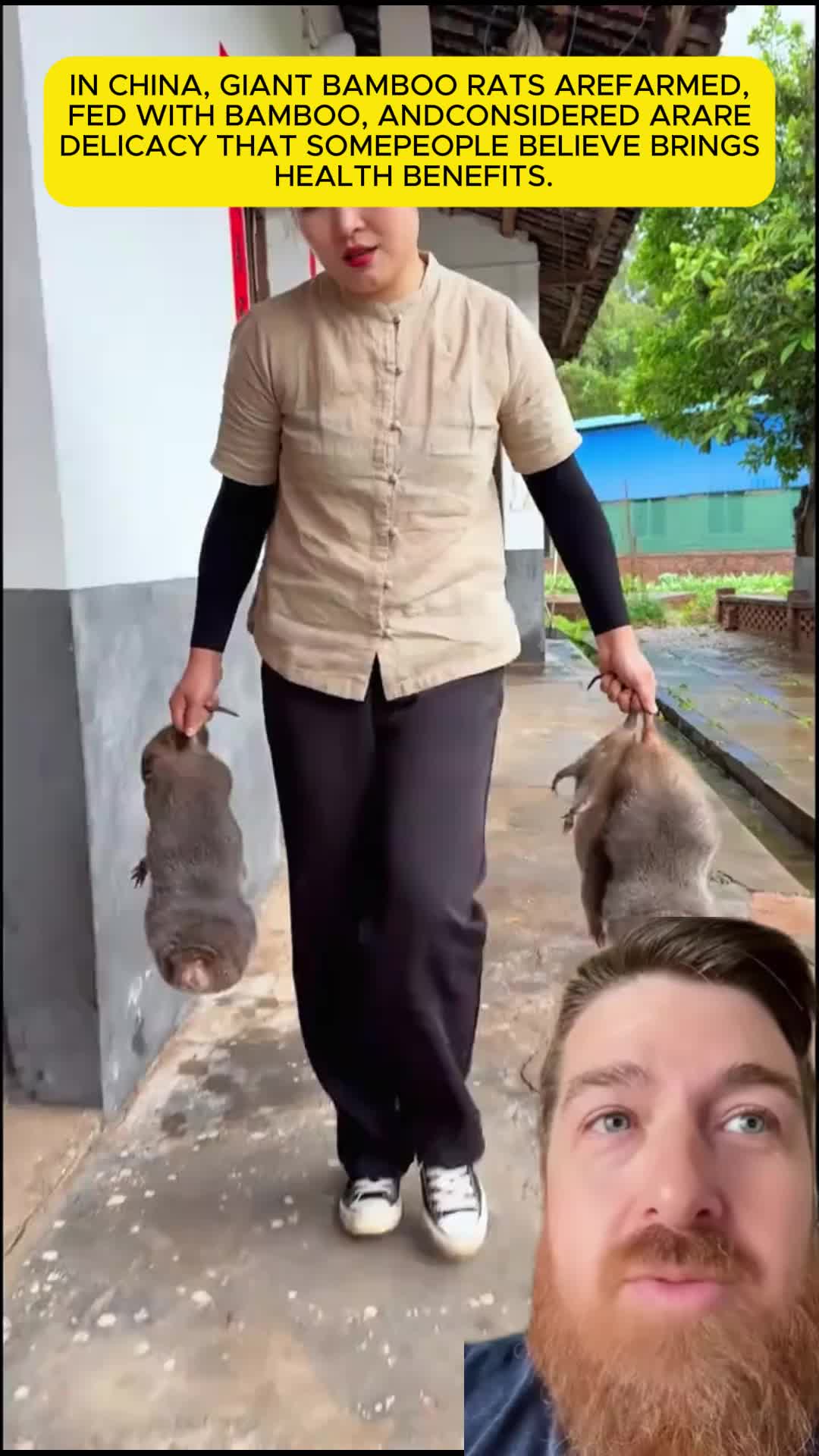 @rtgf69