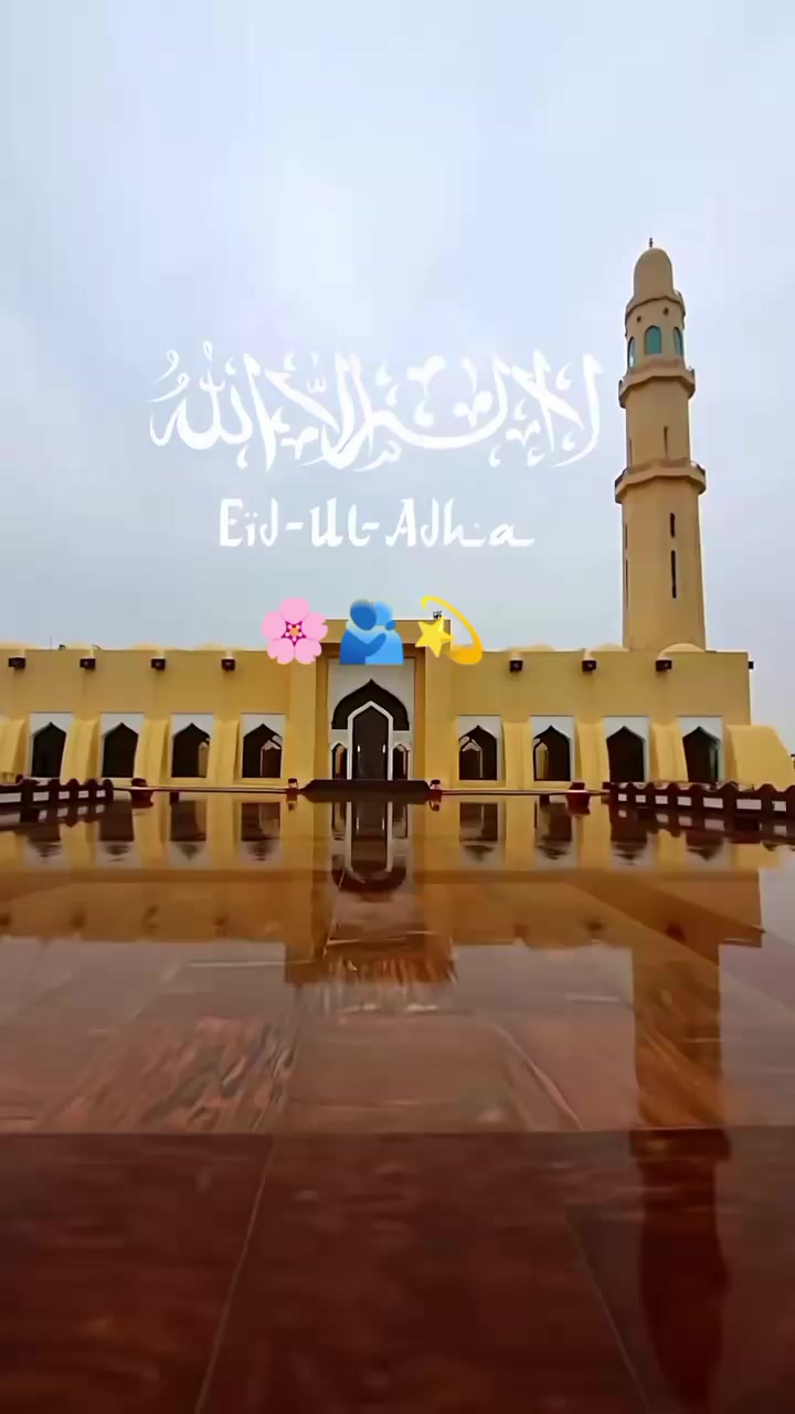@حیدر