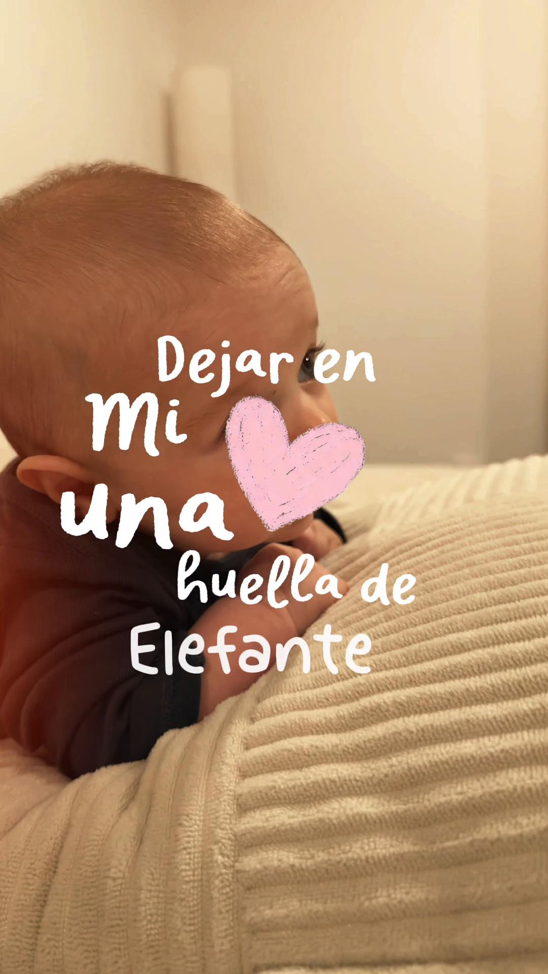 @Andrea Barreto