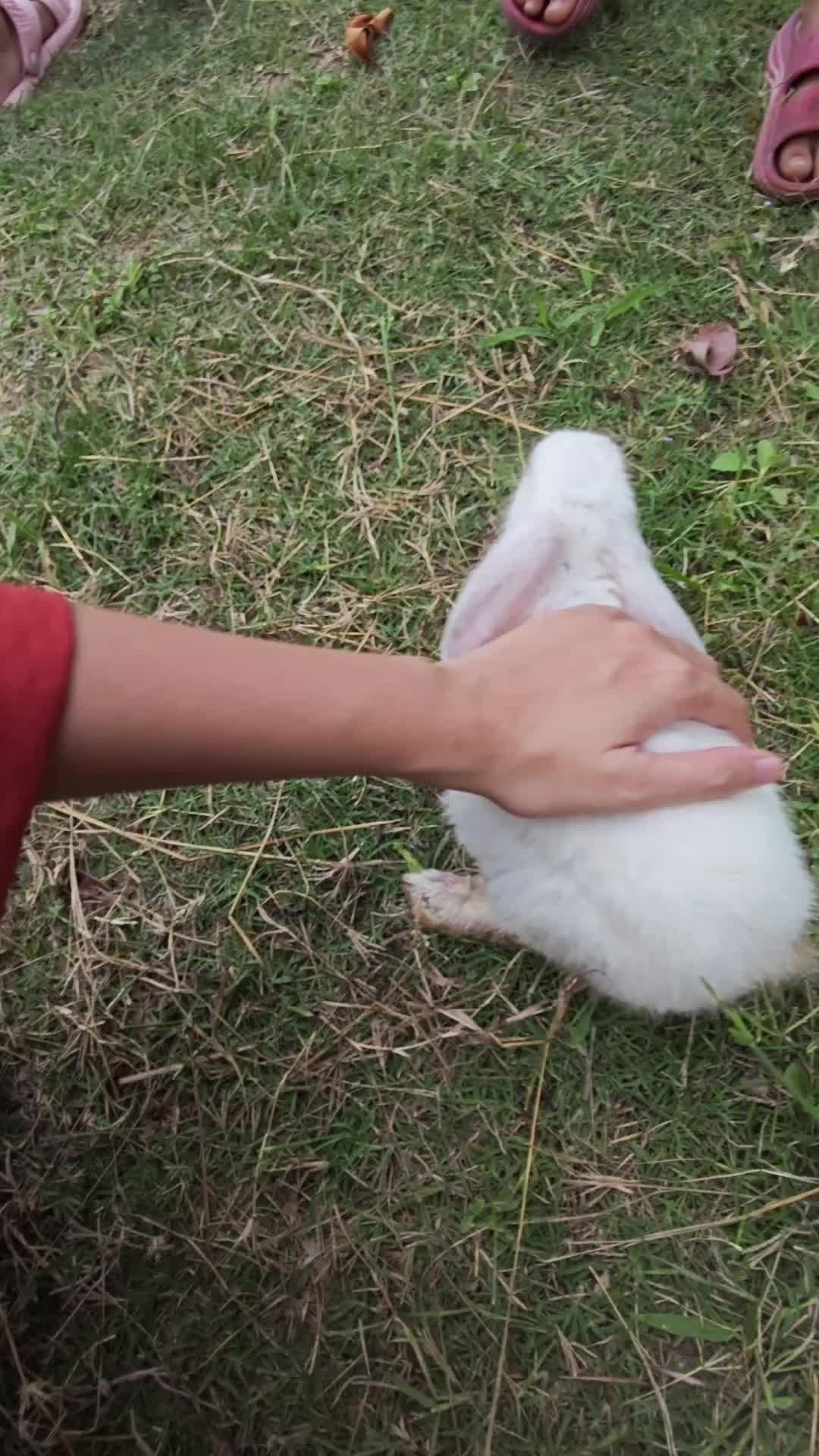 @Khế thúi