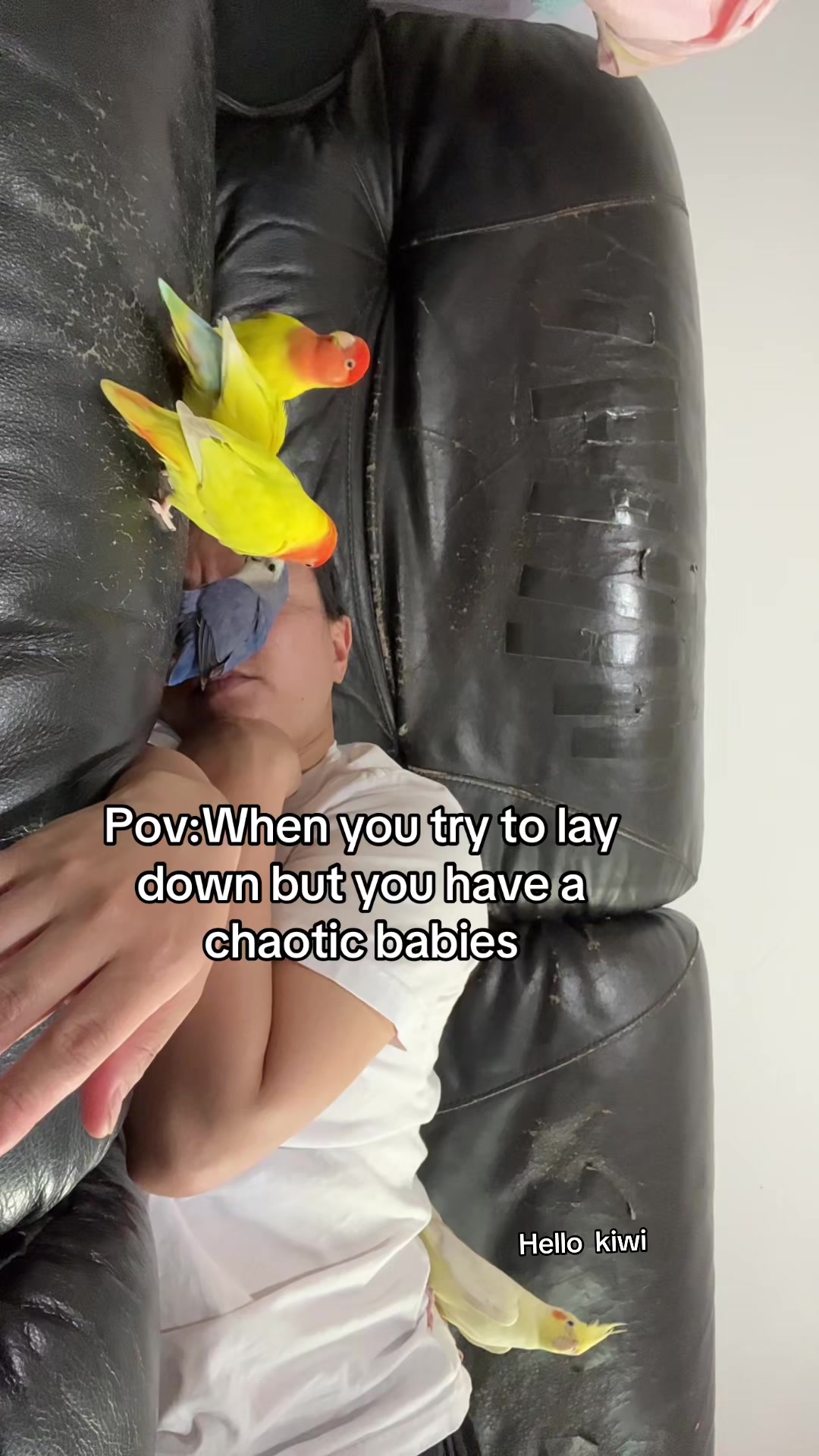 @crisaandbirds