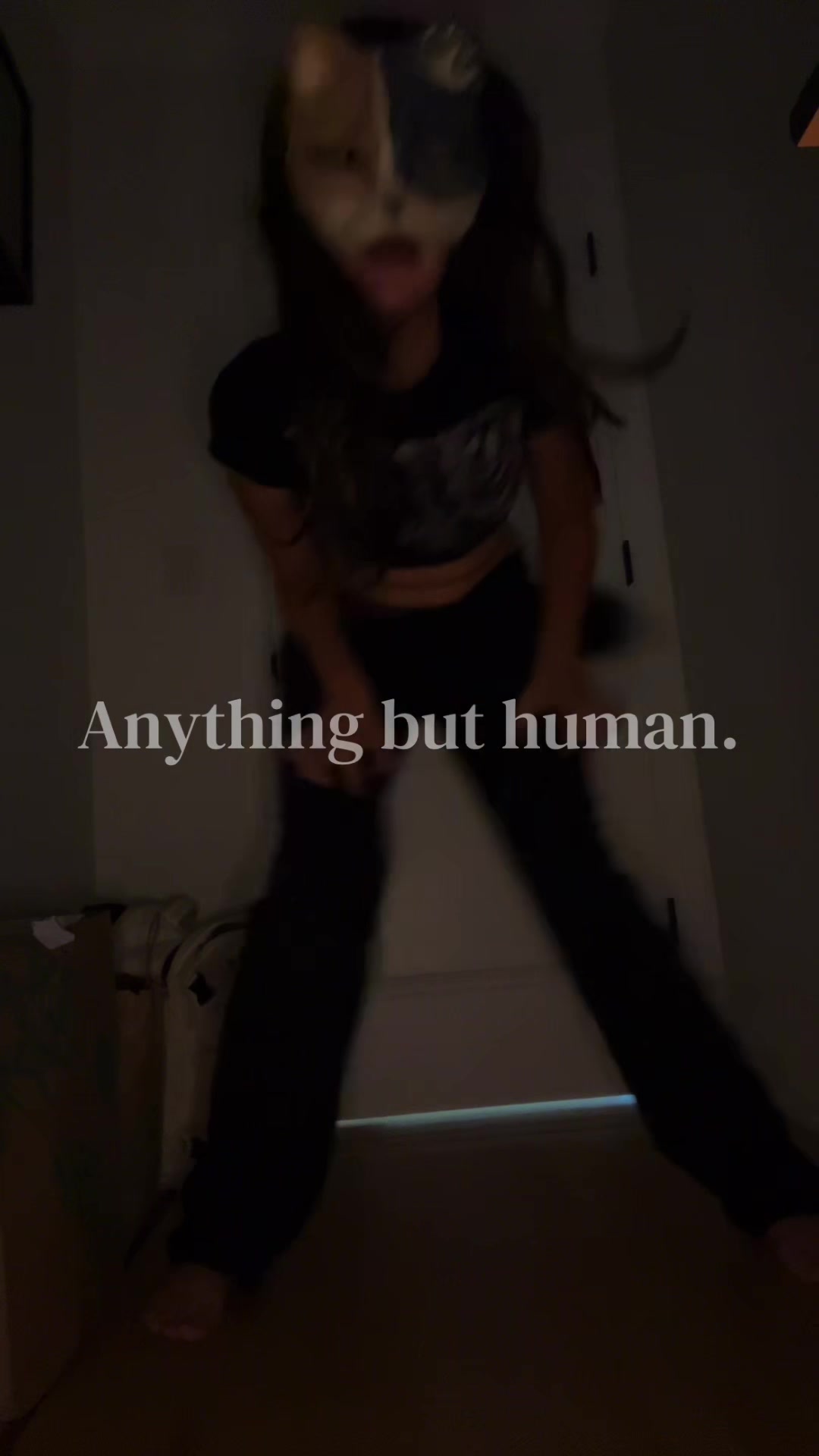 @p1per_pawss