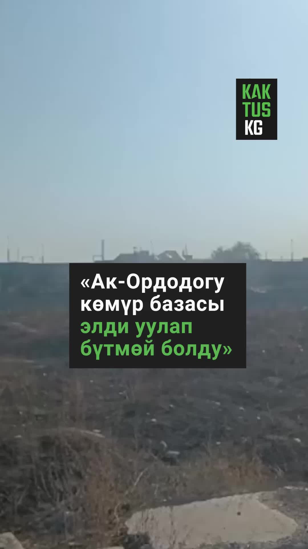 @Kaktus KG