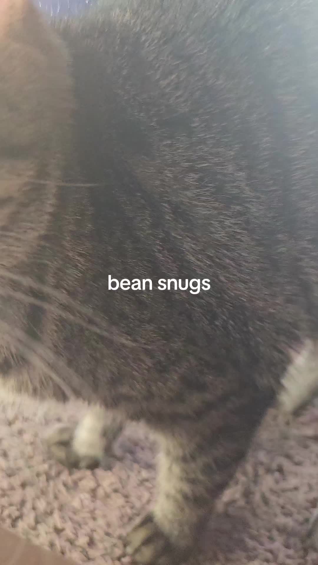 @Catgaga