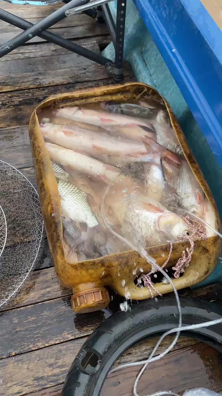 @Thợ Săn HuGo 🐟