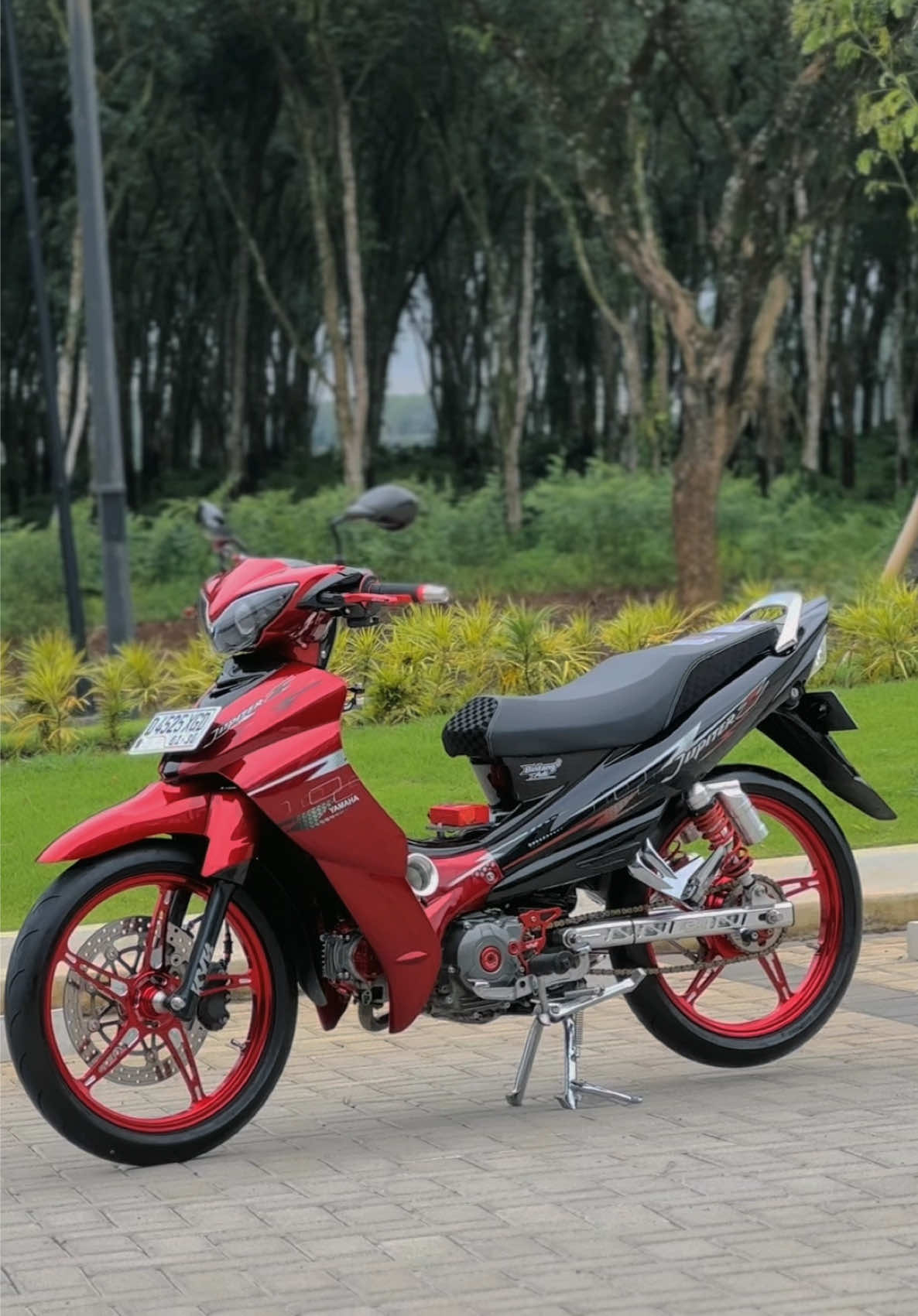 @Bintang 5TP ⚡️