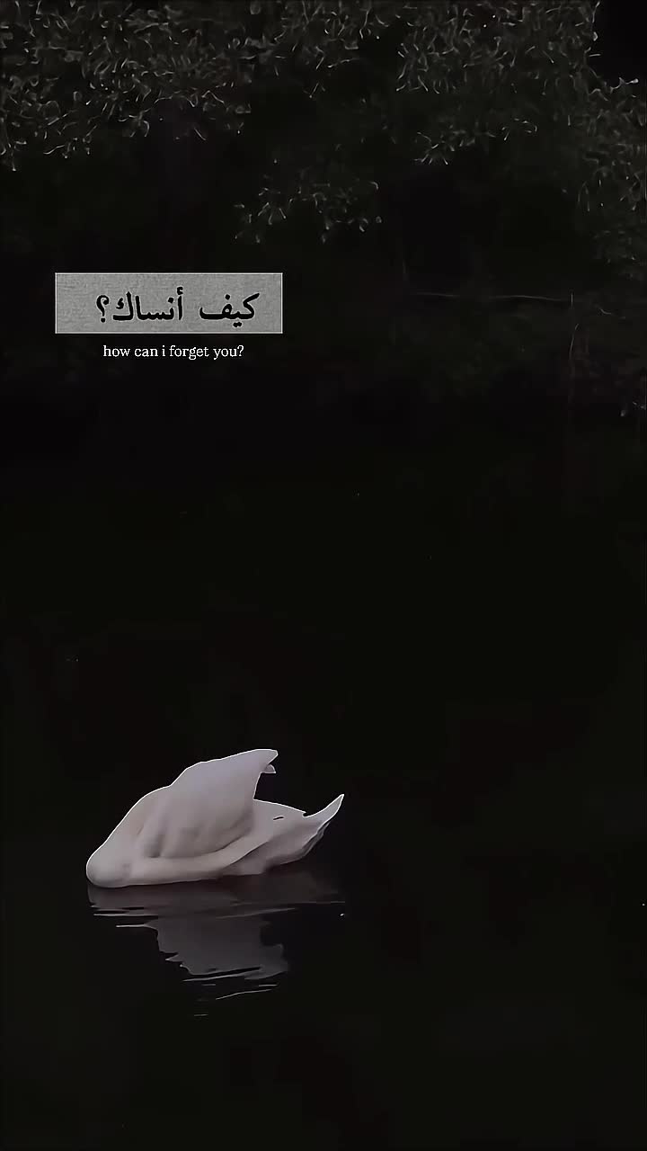 @ᥫ᭡𝐈𝐒𝐇𝐔⏤͟͟͞͞🦢🌷