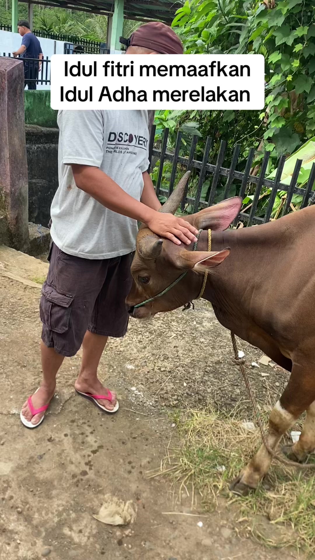 @Pajrul Pala