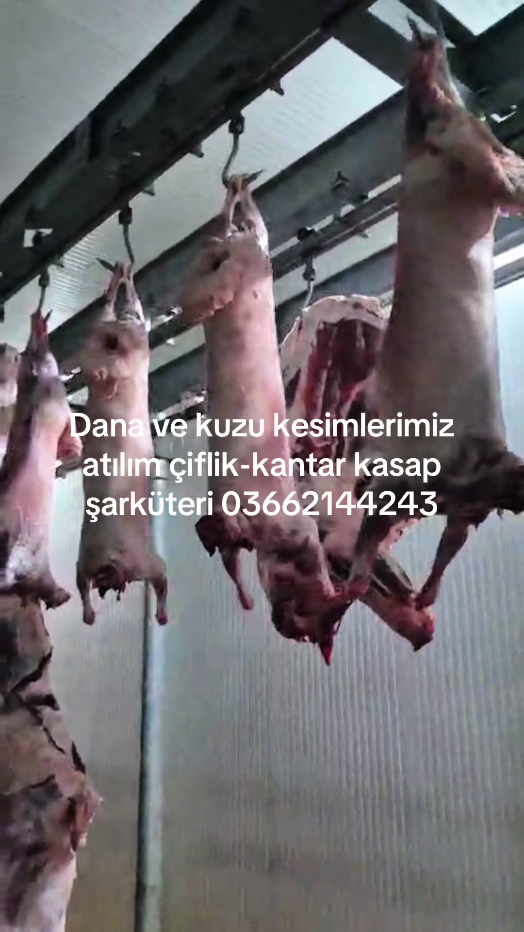 @Necmettin Kantar