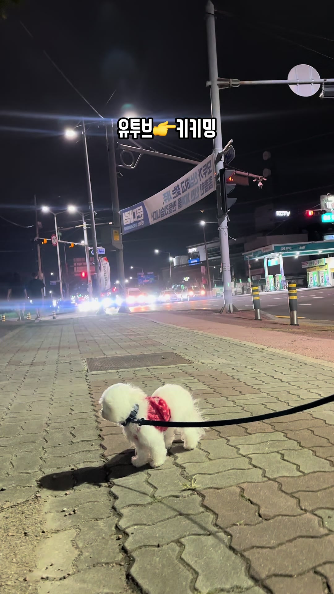 @jeju_kiki